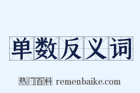 单数反义词是什么意思的图片